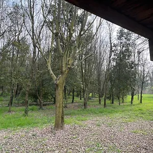  Appartamento Woods